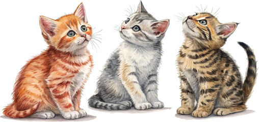 Three adorable kittens