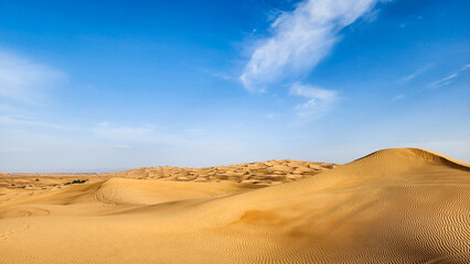 sand dunes in the desert
