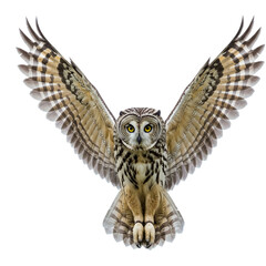 An owl with big yellow eyes and spread wings.