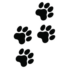 Dog Paw Prints Foot Trail