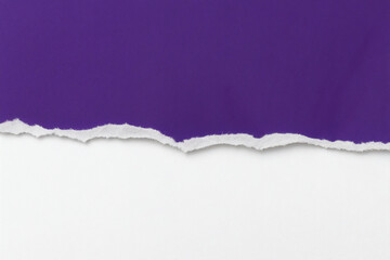 Obraz premium Purple Torn Paper with Rough Edge on White Background