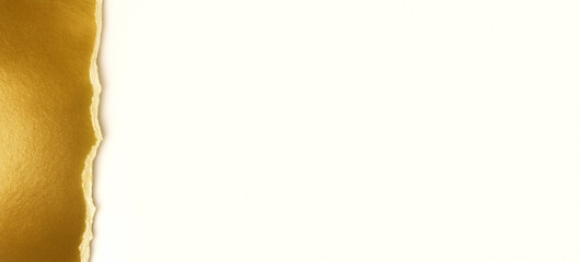 Gold Torn Paper Edge on White Background. Horizontal Banner
