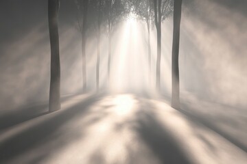 Light beams filtering through trees in a misty forest during early morning hours
