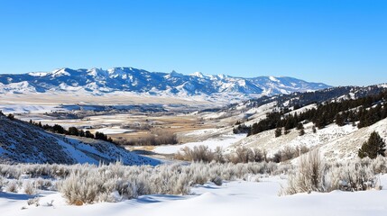 The pristine white slopes and endless horizon evoke a deep sense of peace and awe in the heart of the mountains.

