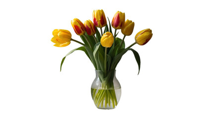 A collection of yellow tulips flower isolated on a flat background