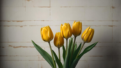 A collection of yellow tulips flower isolated on a flat background