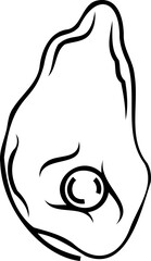 Sea shell hand drawing sketch simple illustration