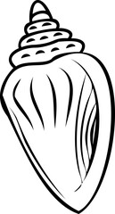 Sea shell hand drawing sketch simple illustration