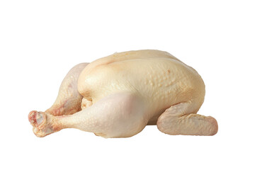 Whole Raw Chicken with white background