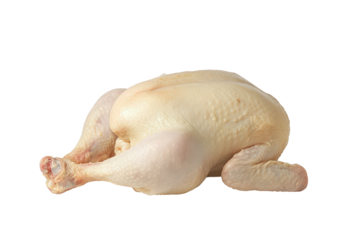 Whole Raw Chicken with white background