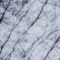 Intricate Dark Gray Veins on Light Gray Marble Surface Close-Up Showcasing Natural Stone Beauty