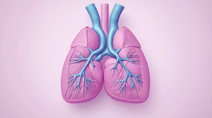 blood, oxygen and health concept. Anatomical illustration of human lungs on a pink background.