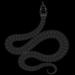 Snake. Outline vector illustration with reptile, viper.