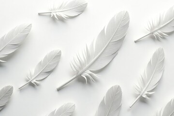 Isolated white feathers against seamless white, white, white background, closeup