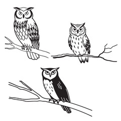 set vector various owl, owl sitting on a tree branch silhouettes