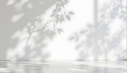 A spacious white studio room with a clean cement wall adorned with shadows of delicate leaves, accentuated by a sleek marble floor that exudes a modern and luxurious aesthetic