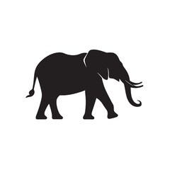 Fototapeta premium Isolated gray elephant walking, large wild mammal