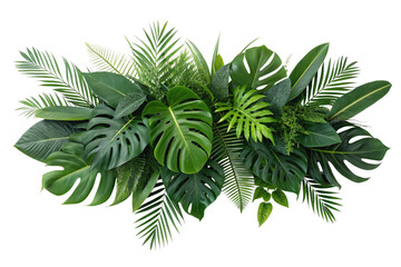 Lush green tropical leaves composition on white background creating a botanical arrangement.