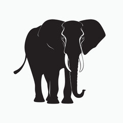 Fototapeta premium Elephant standing on white background vector illustration