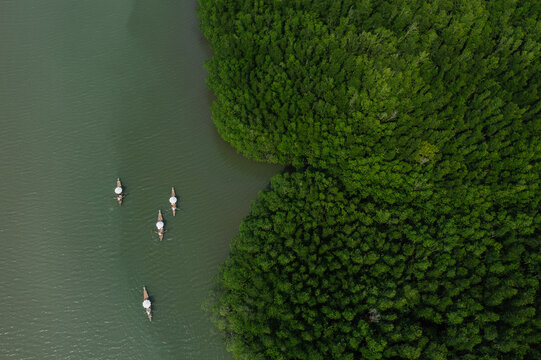 Many ancient wooden boats with rowers are traveling on the river and green forest.Nature boating, nature tourism