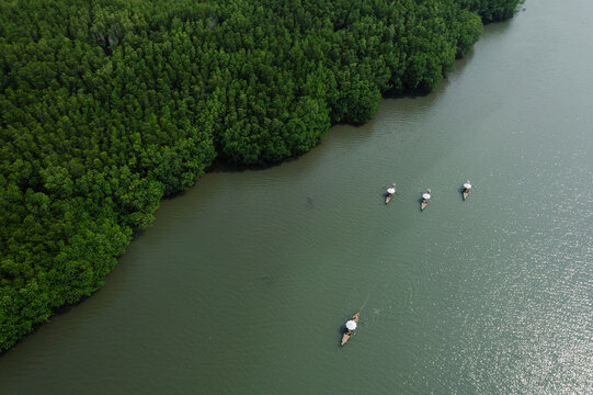 Many ancient wooden boats with rowers are traveling on the river and green forest.Nature boating, nature tourism