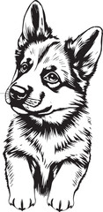 German Shepherd puppy. Hand drawn vector illustration