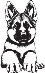 German Shepherd puppy. Hand drawn vector illustration