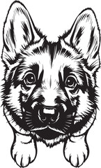 German Shepherd puppy. Hand drawn vector illustration