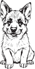 German Shepherd puppy. Hand drawn vector illustration