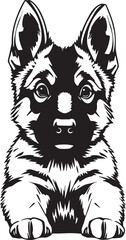 German Shepherd puppy. Hand drawn vector illustration