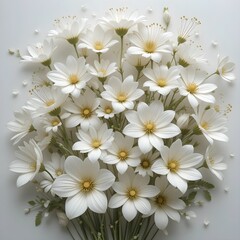 Fototapeta premium white flowers on a white background