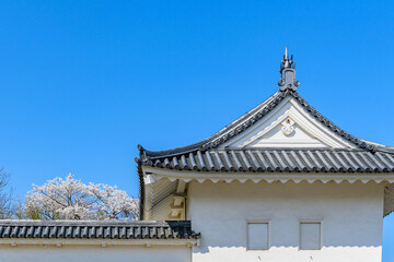 Naklejka premium 山形城 桜満開 