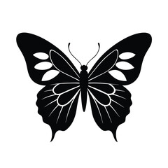 butterfly vector illustration