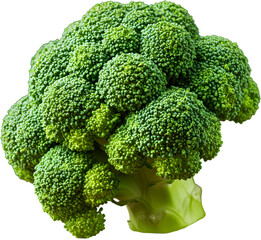broccoli isolated on white background