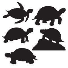 set of vector various Turtles silhouettes	
