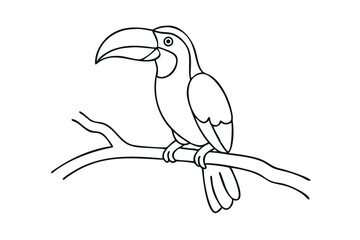 Line drawing of a toucan perched on a branch