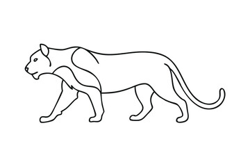 Line art drawing of a majestic panther, wildlife, nature, feline, big cat, predator, animal,