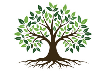 Obraz premium Lush Green Tree with Roots and Branches on White Background