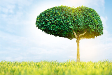 Illustration of a tree in the shape of a liver (environment and medicine)