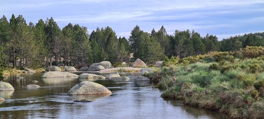 Les bords du Tarn naissant près du pont du Tarn (mont Lozère)