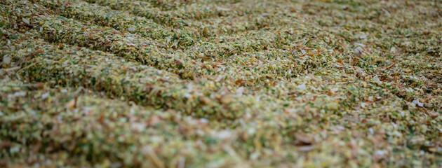 Detail und Macroaufnahme von Traktorspuren und Frische Maissilage nach der Maisernte als Hintergrund