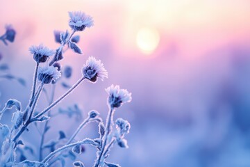 Naklejka premium Frozen icy flowers in winter field, frost-covered wildflowers. AI generated illustration.