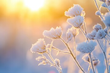 Frozen icy flowers in winter field, frost-covered wildflowers. AI generated illustration.