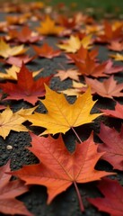 Crisp brown & orange maple leaves scattered on ground , brown, background