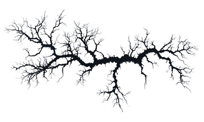 Obraz premium Detailed Diagram of Neuron Anatomy Vector Illustration with Labeled Structure Isolated on White Background
