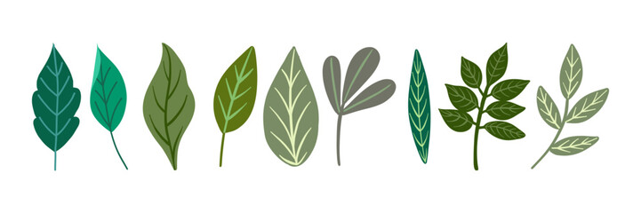 Naklejka premium Vector illustration featuring a collection of diverse leaf shapes. Each leaf showcases different colors and shapes, perfect for botanical projects and nature-themed designs. 