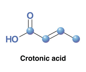 Crotonic acid Short-chain Unsaturated Carboxylic Acid With Formula C4H6O2. Butenoic Acid Vector Illustration