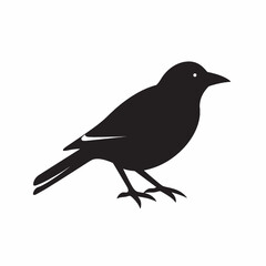 Obraz premium A black crow silhouette, a wild bird with a beak and feathers, perches on a branch in nature