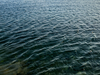 rhythmic ripples on the surface of deep blue sea water, reflecting natural light. a minimal and...