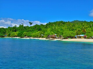 Exotic paradise island beach with vivid green tropical jungle, small houses and boats. Remote empty tropical coastline.